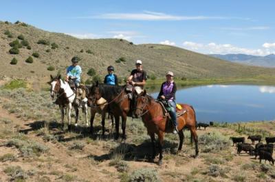 Horseback Riding & Tours in Dillon