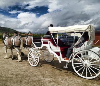 Hayrides & Carriage Rides in Frisco